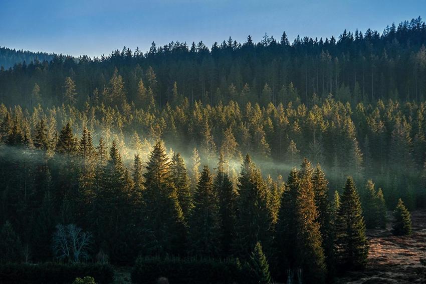 Horska Kvilda - Ubytovani U Chvalu Bagian luar foto