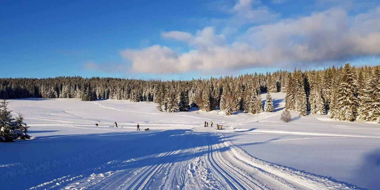 Horska Kvilda - Ubytovani U Chvalu Bagian luar foto