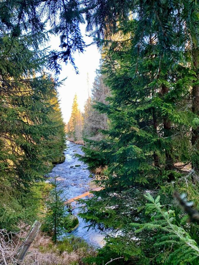 Horska Kvilda - Ubytovani U Chvalu Bagian luar foto