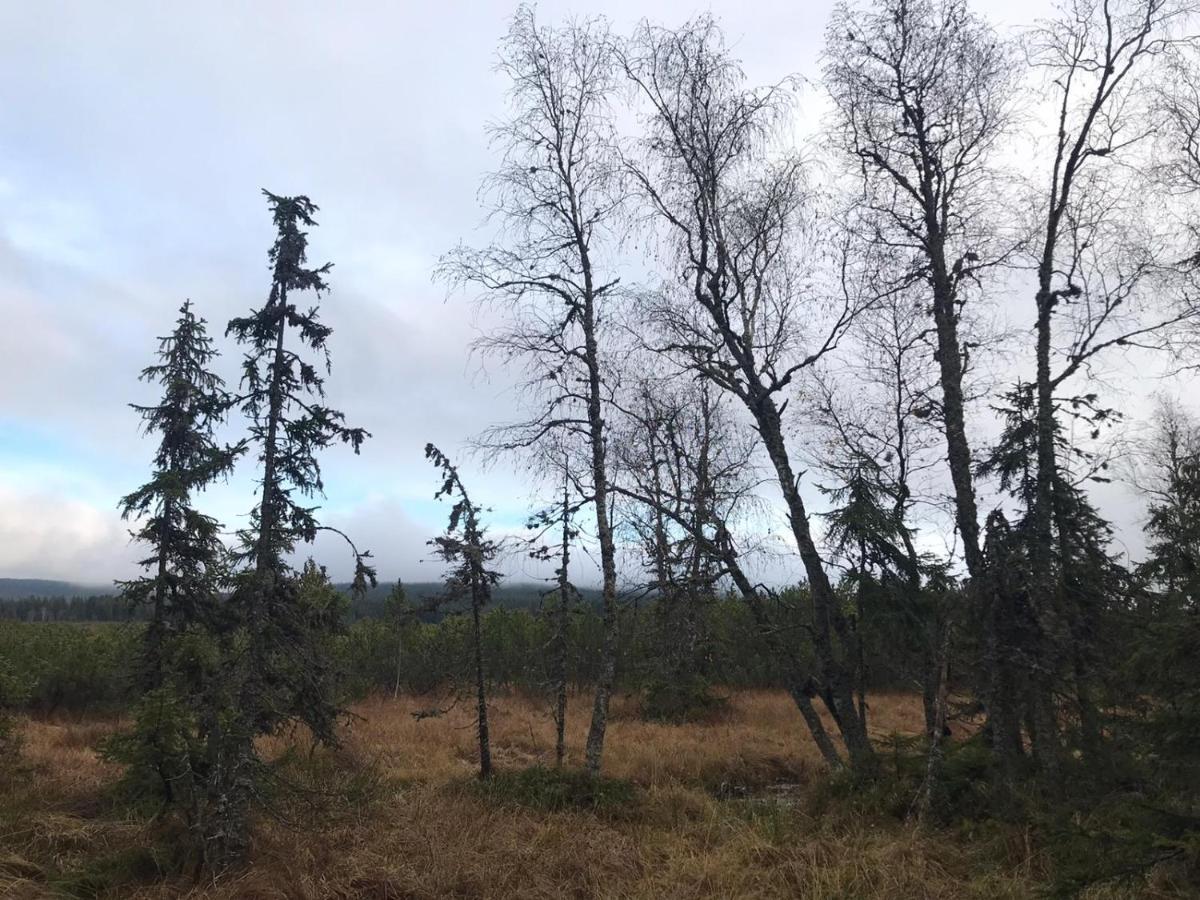 Horska Kvilda - Ubytovani U Chvalu Bagian luar foto
