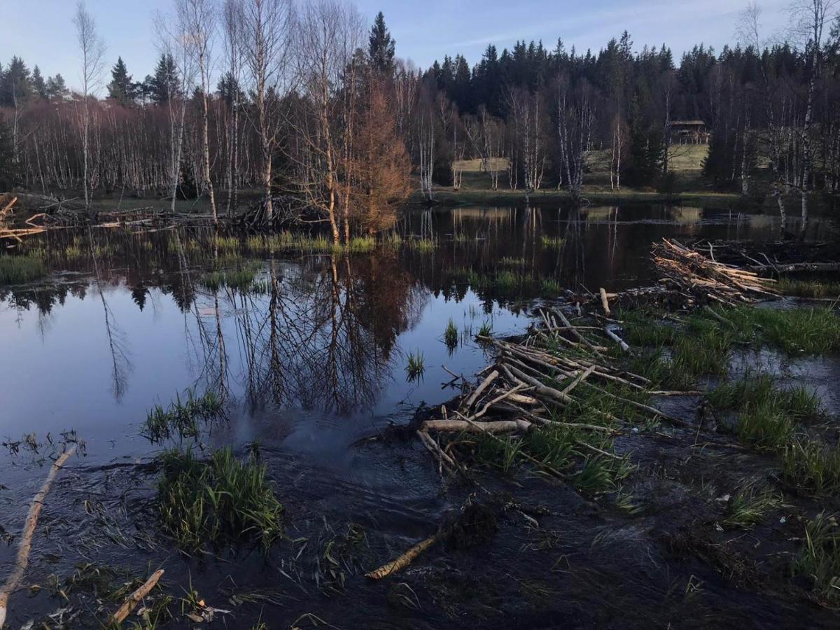 Horska Kvilda - Ubytovani U Chvalu Bagian luar foto