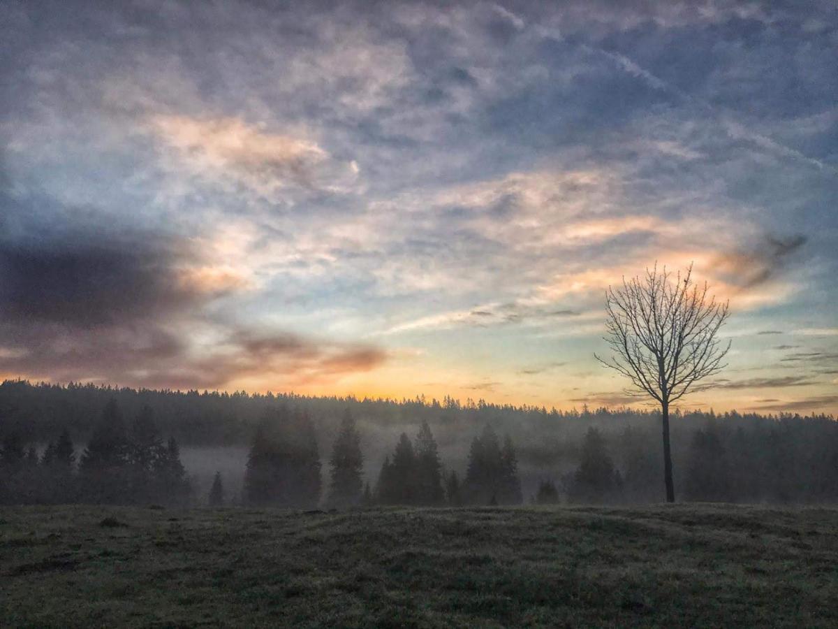 Horska Kvilda - Ubytovani U Chvalu Bagian luar foto