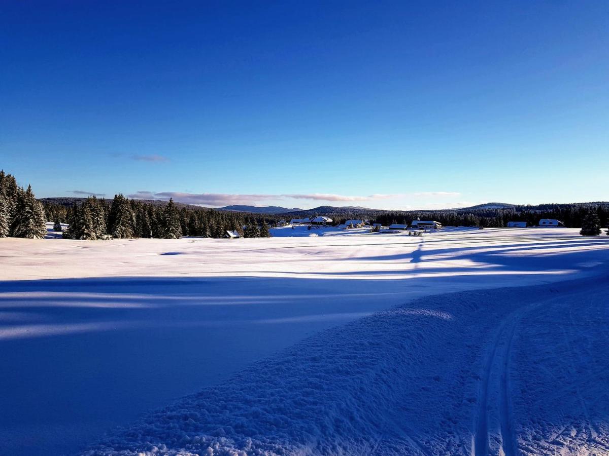 Horska Kvilda - Ubytovani U Chvalu Bagian luar foto