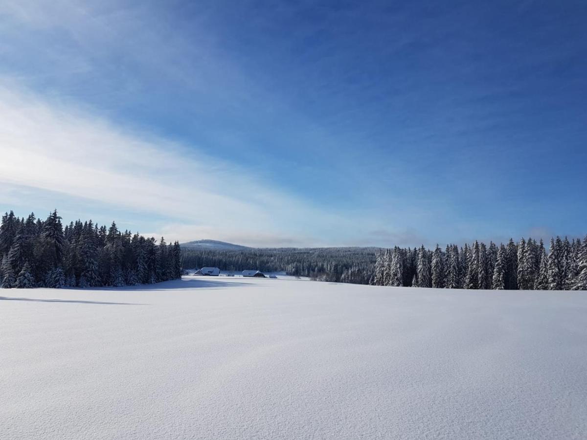 Horska Kvilda - Ubytovani U Chvalu Bagian luar foto