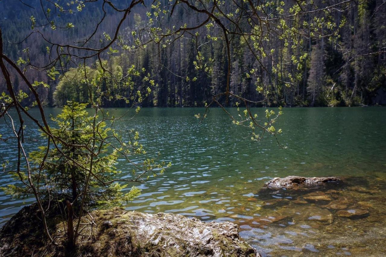 Horska Kvilda - Ubytovani U Chvalu Bagian luar foto