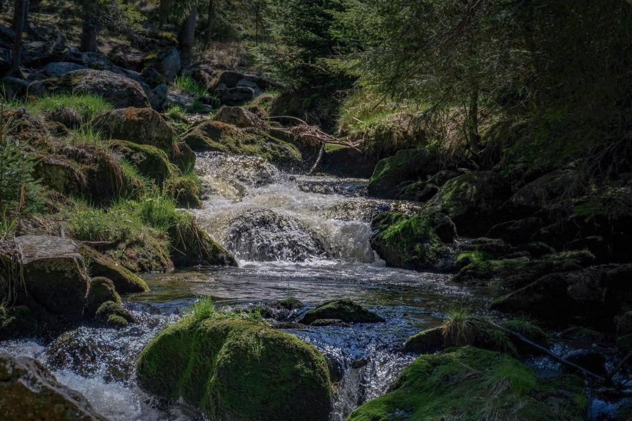Horska Kvilda - Ubytovani U Chvalu Bagian luar foto