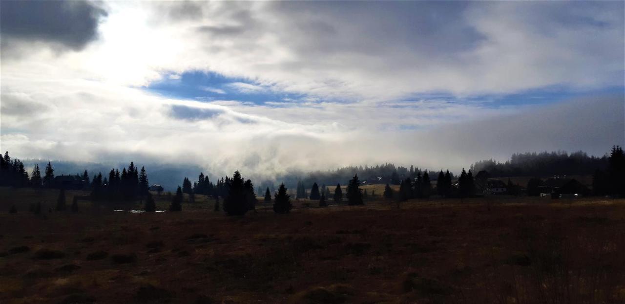 Horska Kvilda - Ubytovani U Chvalu Bagian luar foto