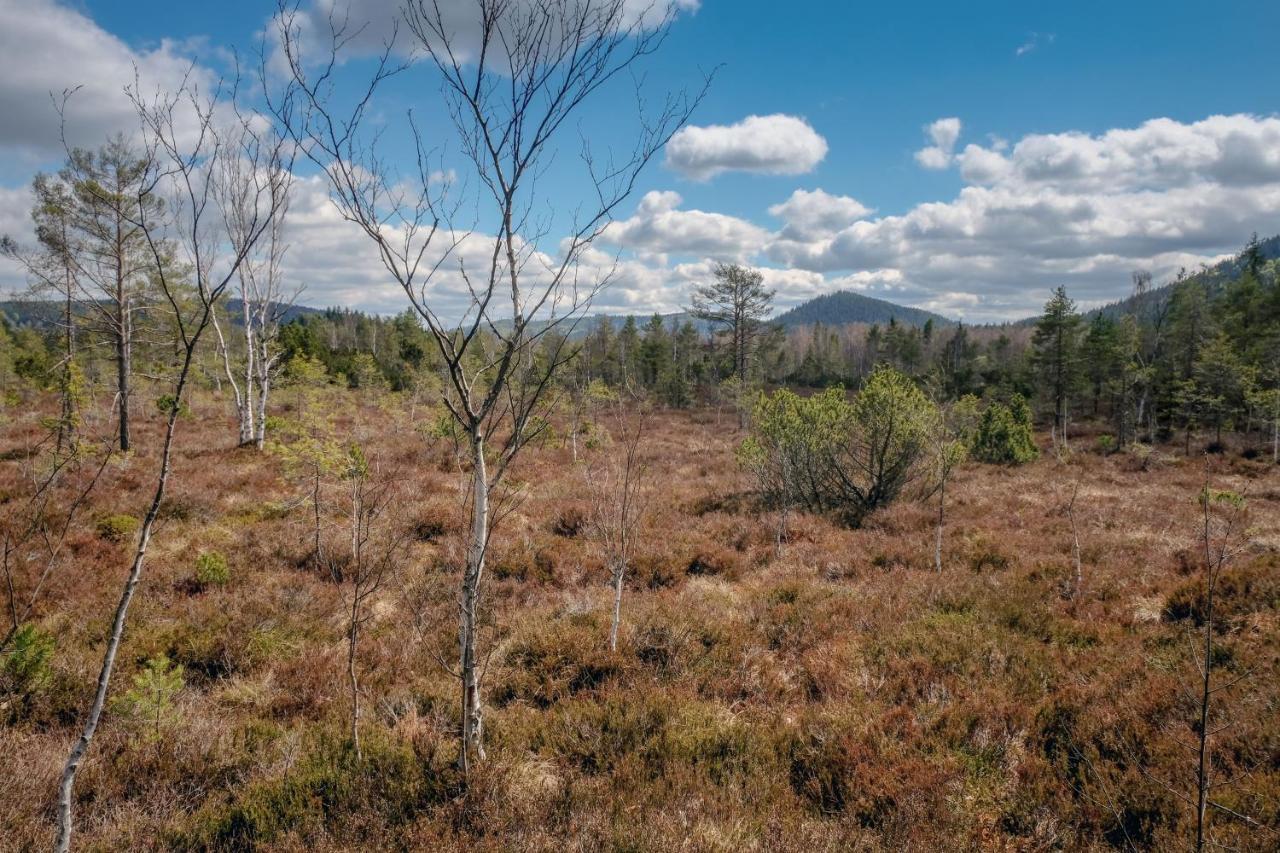 Horska Kvilda - Ubytovani U Chvalu Bagian luar foto