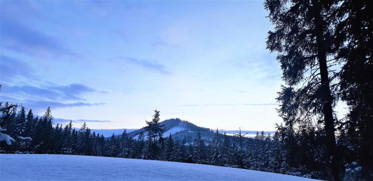 Horska Kvilda - Ubytovani U Chvalu Bagian luar foto