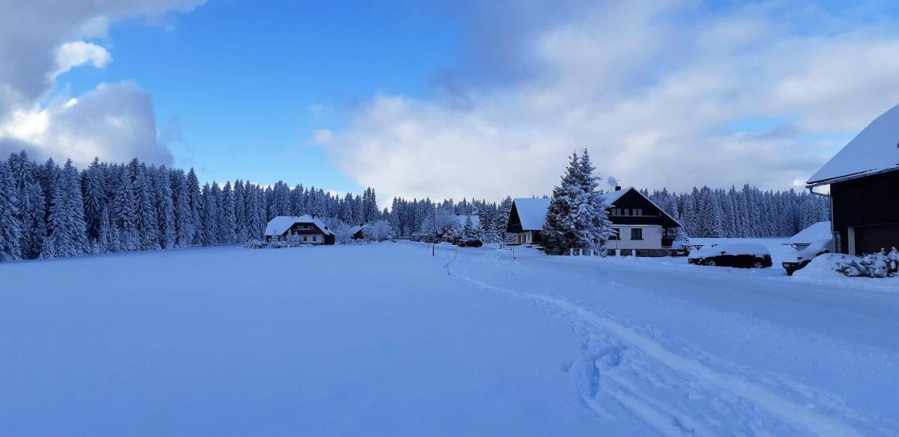 Horska Kvilda - Ubytovani U Chvalu Bagian luar foto