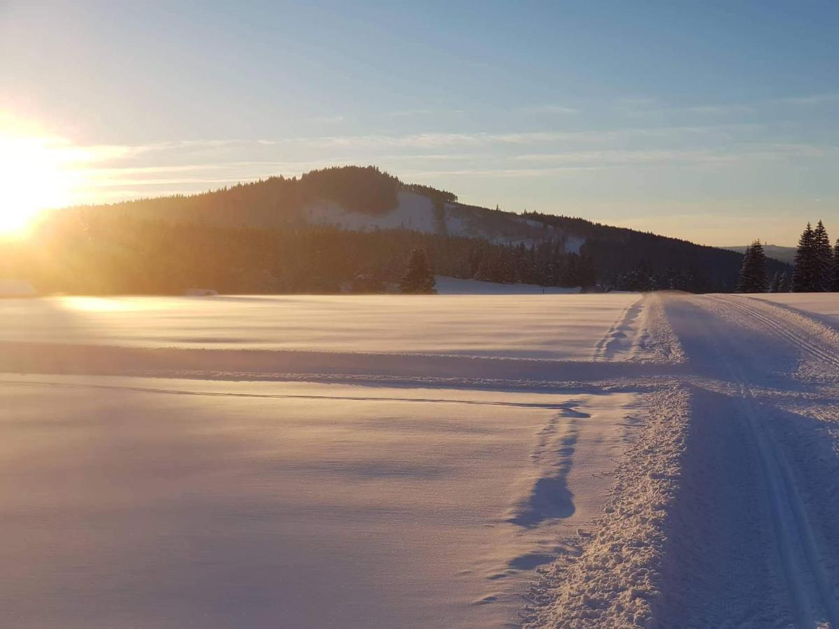 Horska Kvilda - Ubytovani U Chvalu Bagian luar foto