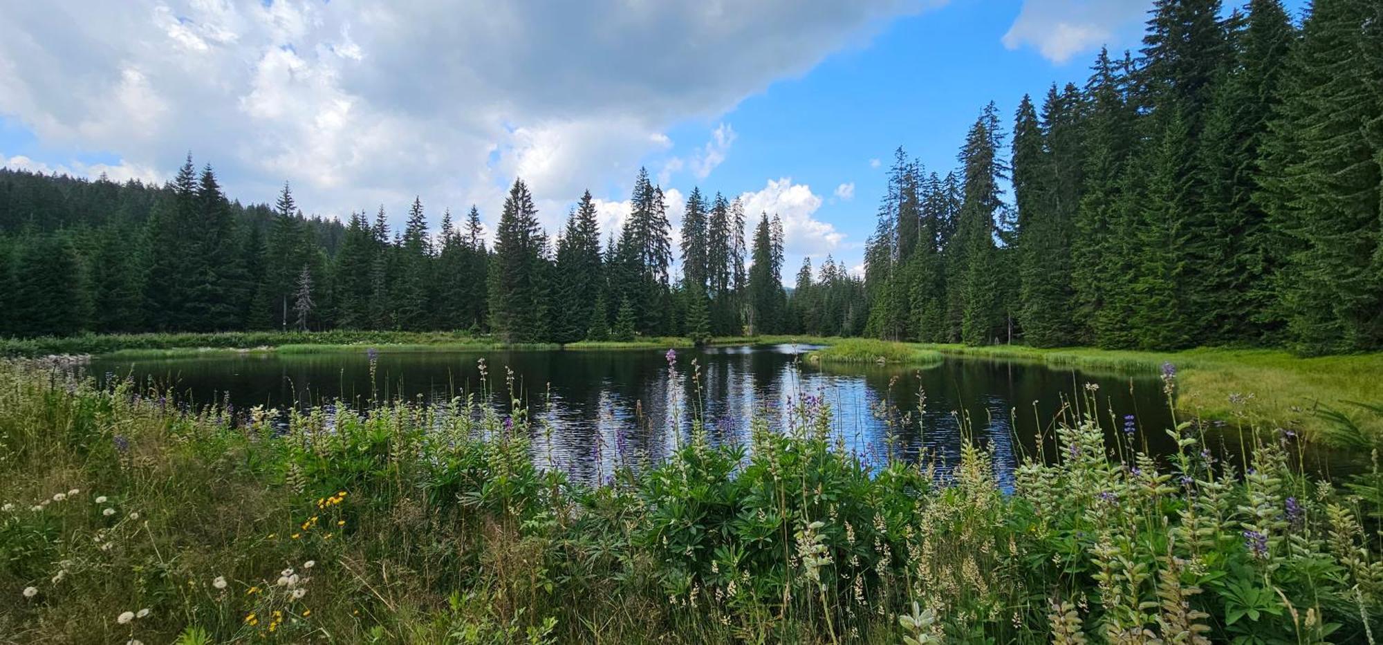 Horska Kvilda - Ubytovani U Chvalu Bagian luar foto