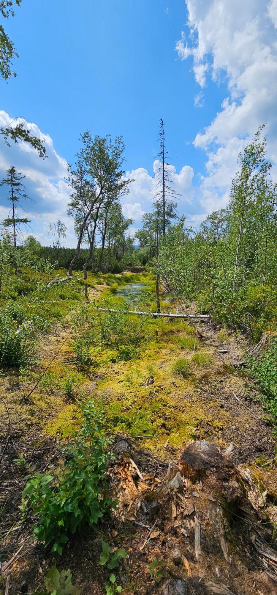 Horska Kvilda - Ubytovani U Chvalu Bagian luar foto