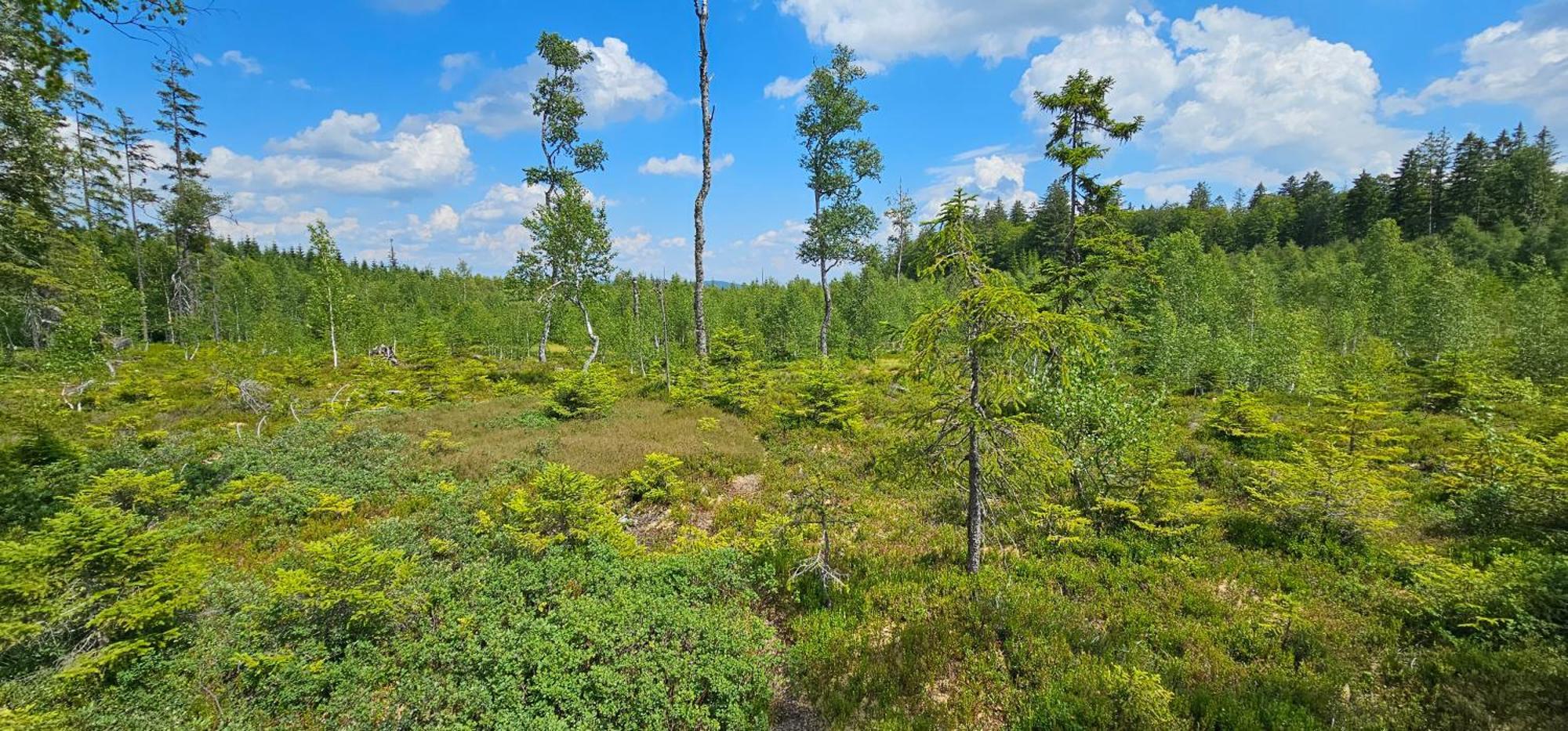 Horska Kvilda - Ubytovani U Chvalu Bagian luar foto