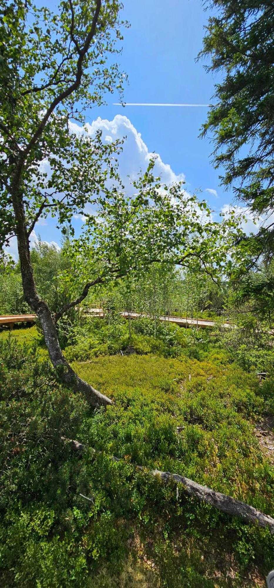 Horska Kvilda - Ubytovani U Chvalu Bagian luar foto