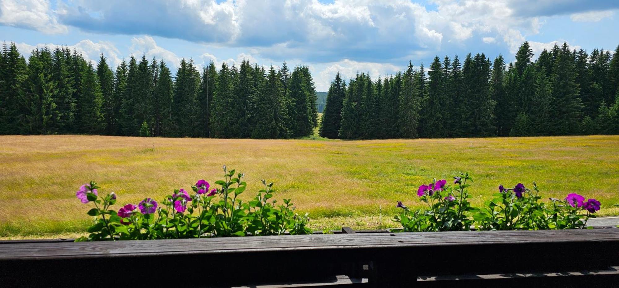 Horska Kvilda - Ubytovani U Chvalu Bagian luar foto